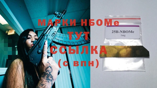 2c-b Горнозаводск