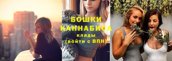 гидропоника Вяземский