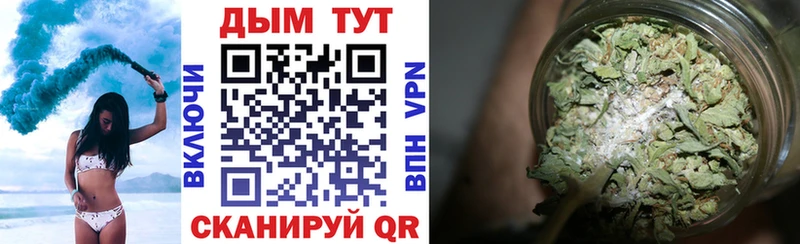 Купить закладки  Нестеровская  МАРИХУАНА Amnesia 
